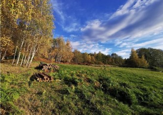 działka na sprzedaż - Wilkowice